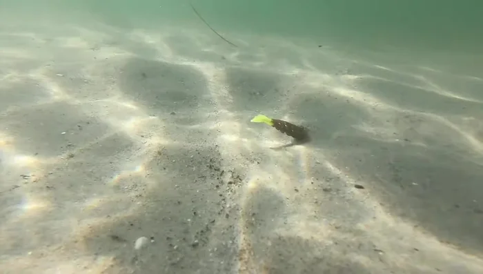 Maintain contact with the bottom without excessive slack in your line to ensure a good hookset.