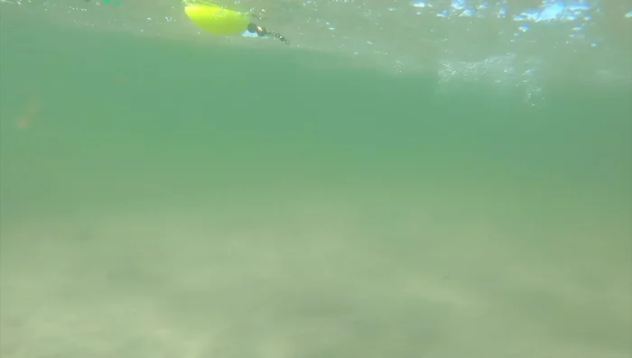 Rig your popping cork with a soft plastic bait.