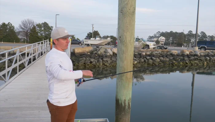 Cast the MirrOdine out and reel down.