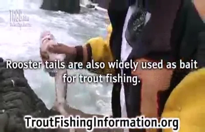 Use rooster tail lures. They mimic minnows and can be adjusted to dive to different depths by adjusting the forward edge. They are typically 3-4 inches long.