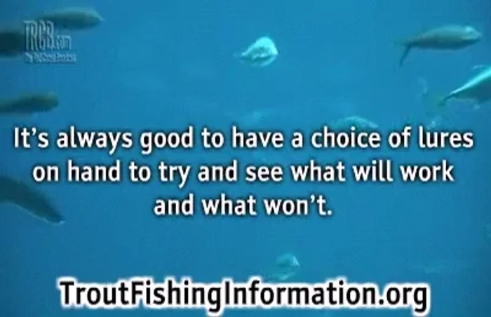In springtime, try spinner and worm combos, especially weightless ones, letting them drift across the lake or river bottom. Use split shot to control depth.