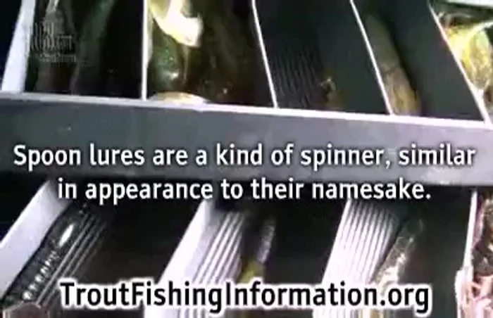 Consider spoon lures. They mimic small fish and create a wobbling motion. Start with a small, heavy spoon (around an inch) in early spring.
