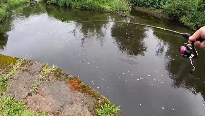 Unexpectedly catches a trout.