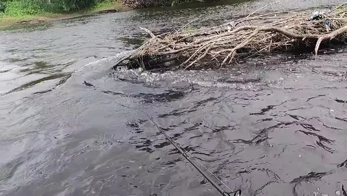 Further fishing with soft baits and jerkbaits, catching more trout and perch.
