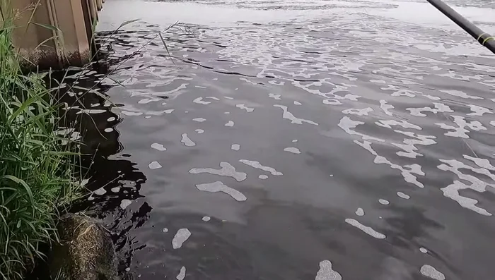 Final fishing spot with a focus on perch, ultimately catching a trout.