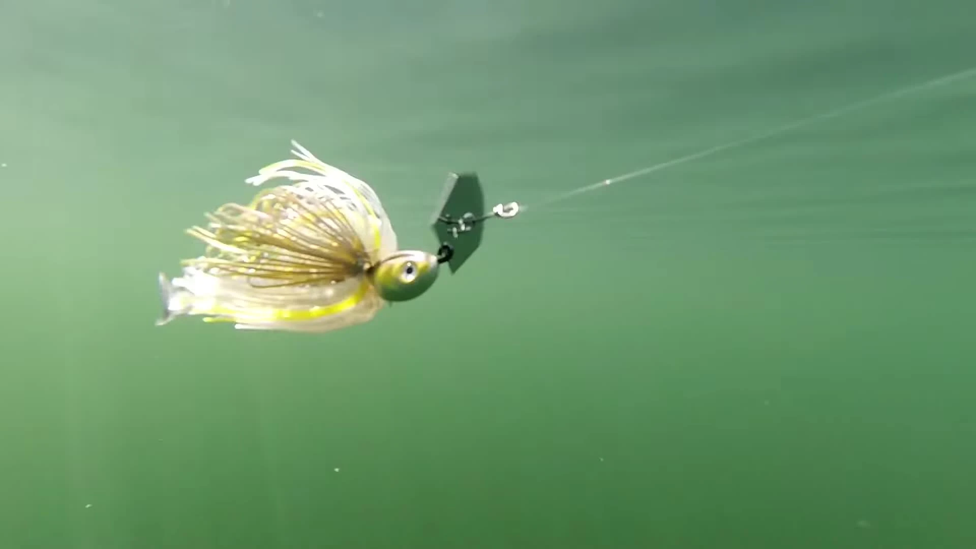 Close-up of a chatterbait showing the blade and skirt.