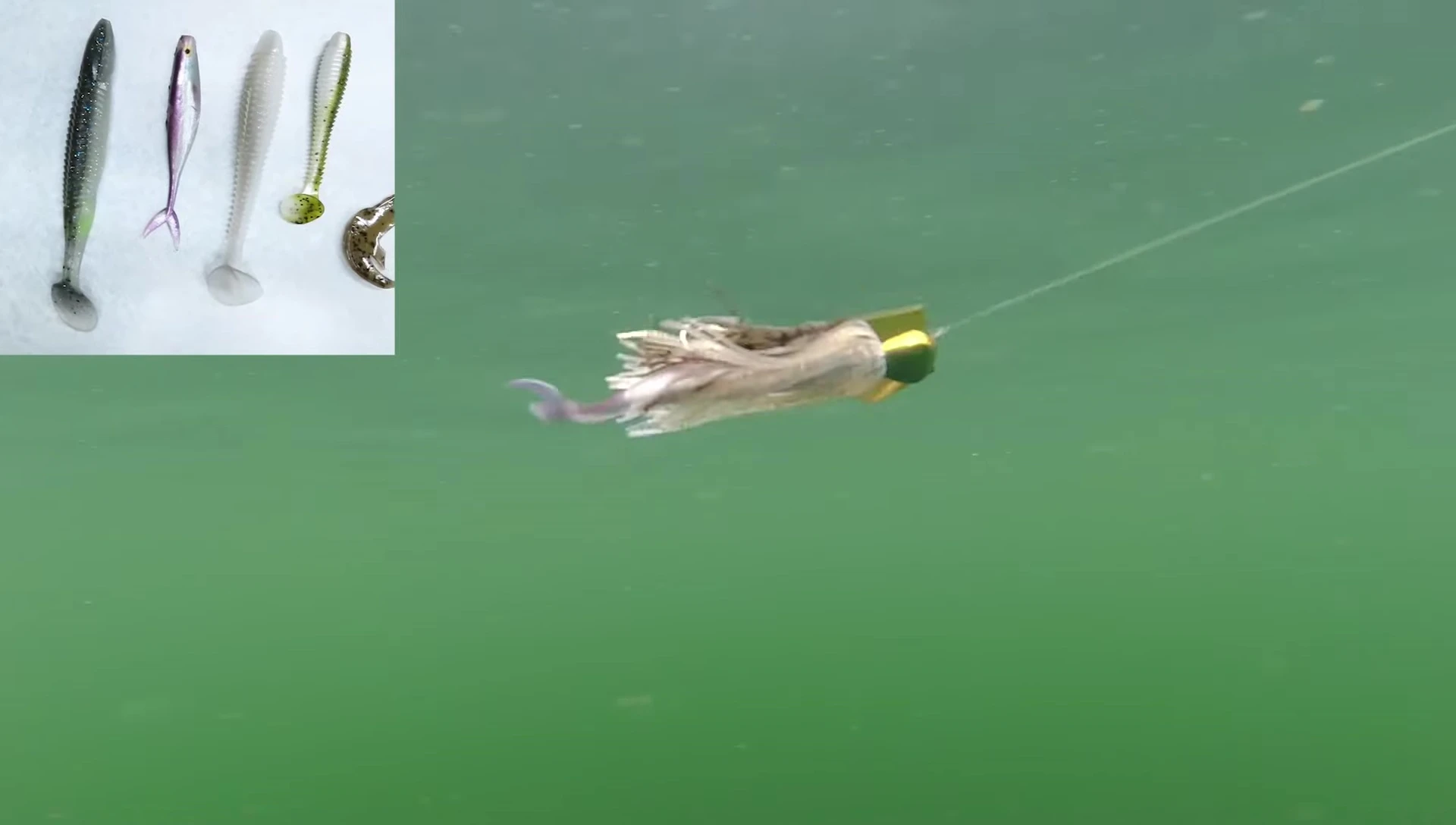 Various types of trailers used with chatterbaits.