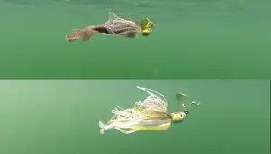 Chatterbait Fishing: A Comprehensive Guide to Bladed Jigs