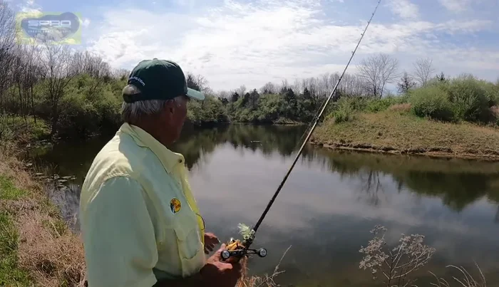 Let it sink: Allow the spinnerbait to sink slightly before retrieving to attract fish near cover (grass, logs).