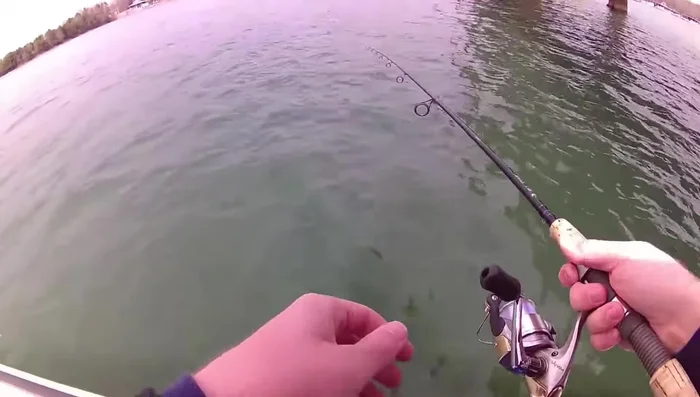 Reel the line back onto your reel.