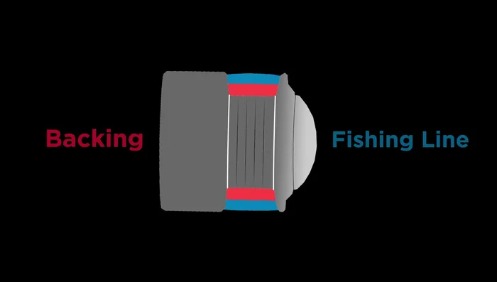 Fill one spool almost to the top with backing line using the same method as above.