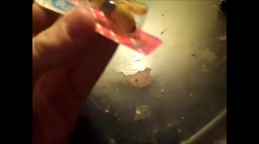 The Rebel Bumblebee floating bait is displayed.