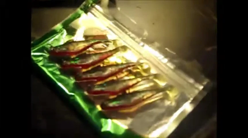 Close-up view of the Boss Shad swimbaits.