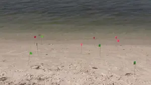 PowerPro vs J-Braid 8 Grand: Ultimate Casting Distance Showdown