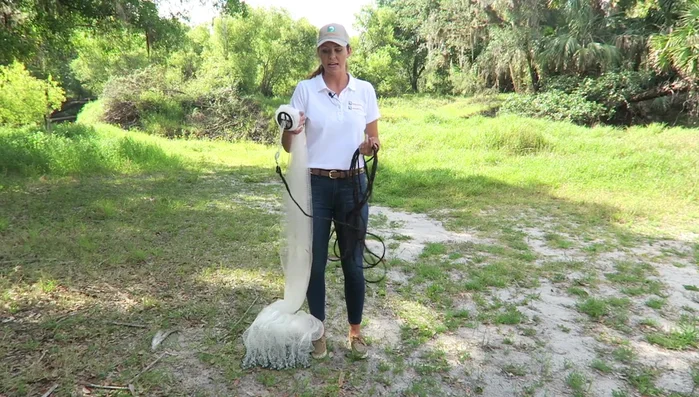 Grab under the horn with your non-dominant hand (about a foot down). Loop the net once.