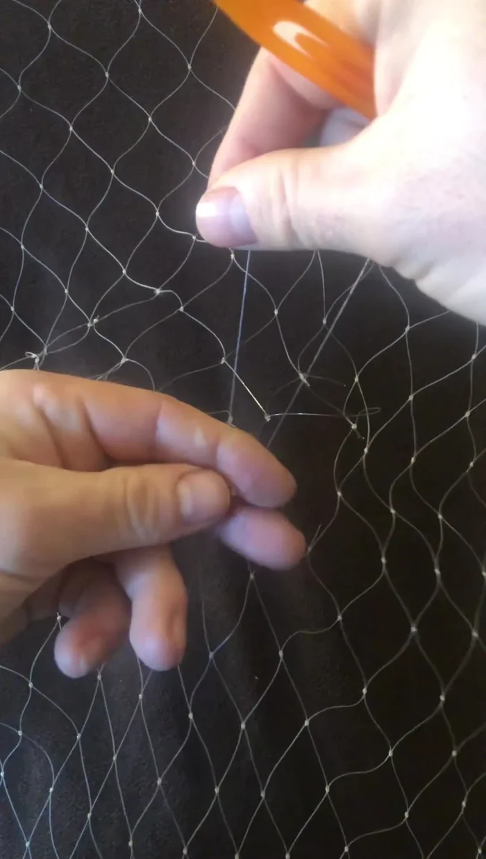 Trim the straggly ends, leaving about half an inch.