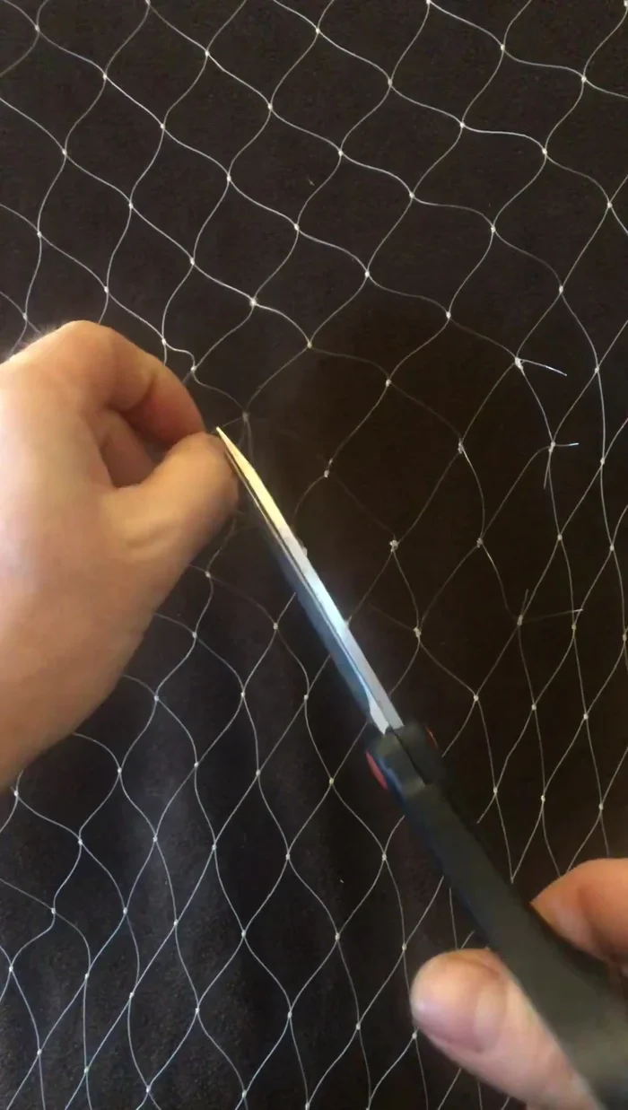 Trim the straggly ends, leaving about half an inch.