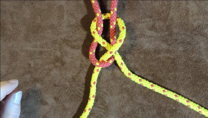 Gently pull through to tighten the knot.