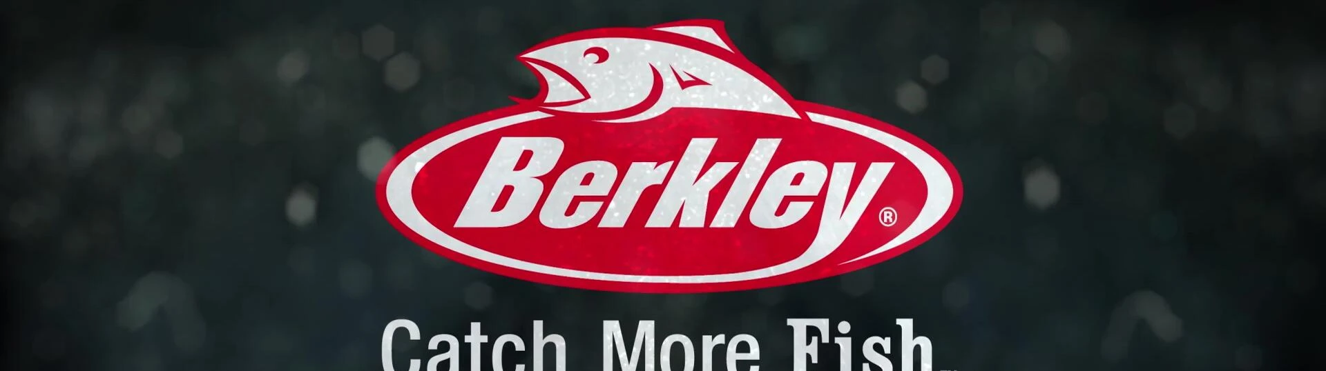 Ending slide with Berkley logo