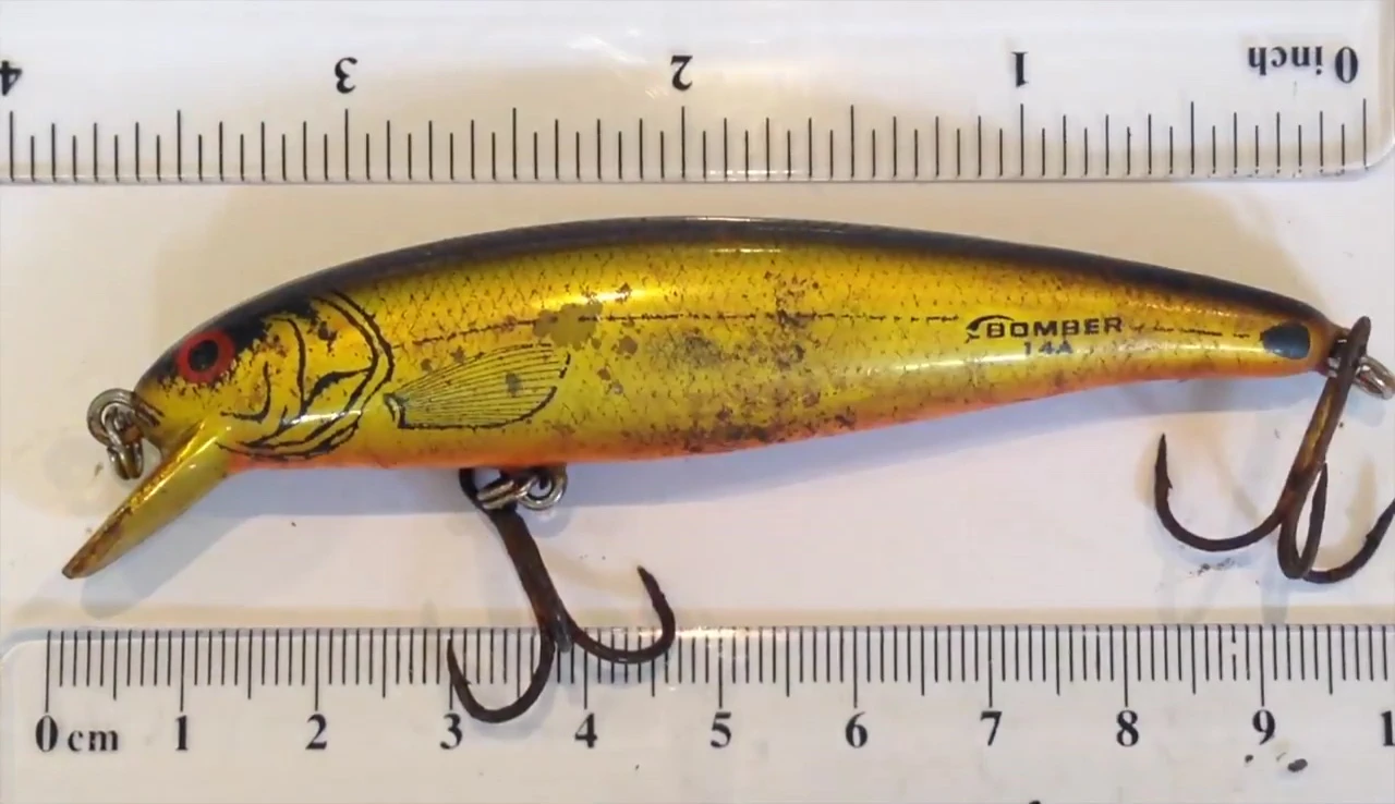 Lure near the surface