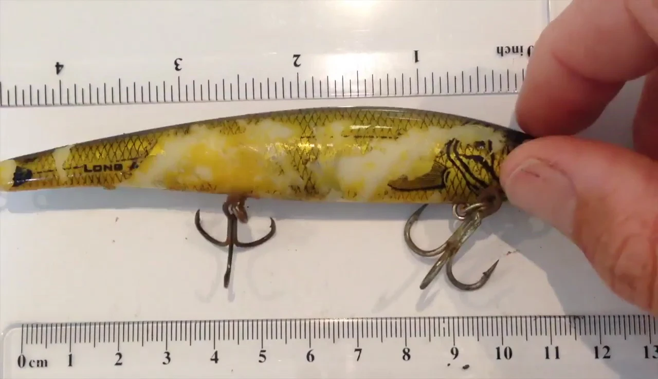Angler holding the lure