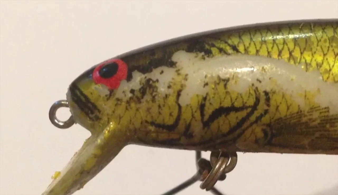 Close-up of the lure's hooks and rings