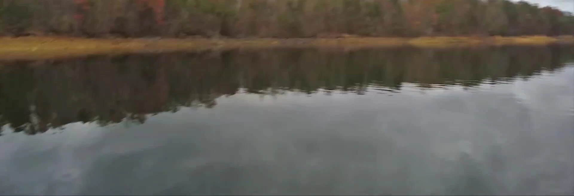 Screenshot of the fishing action, showing numerous fish around the boat.