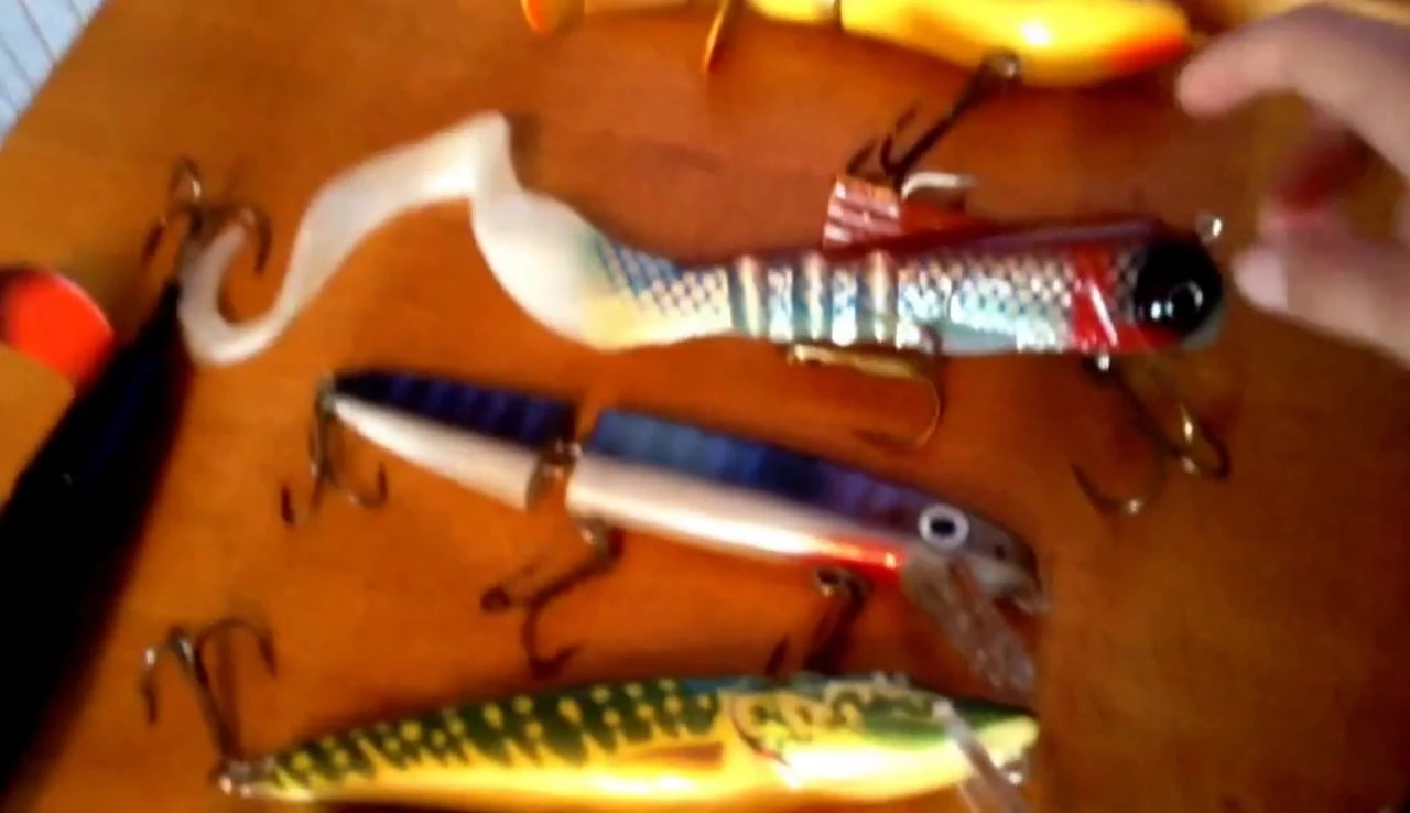 Close-up of the curly tail lure, showing the two treble hooks