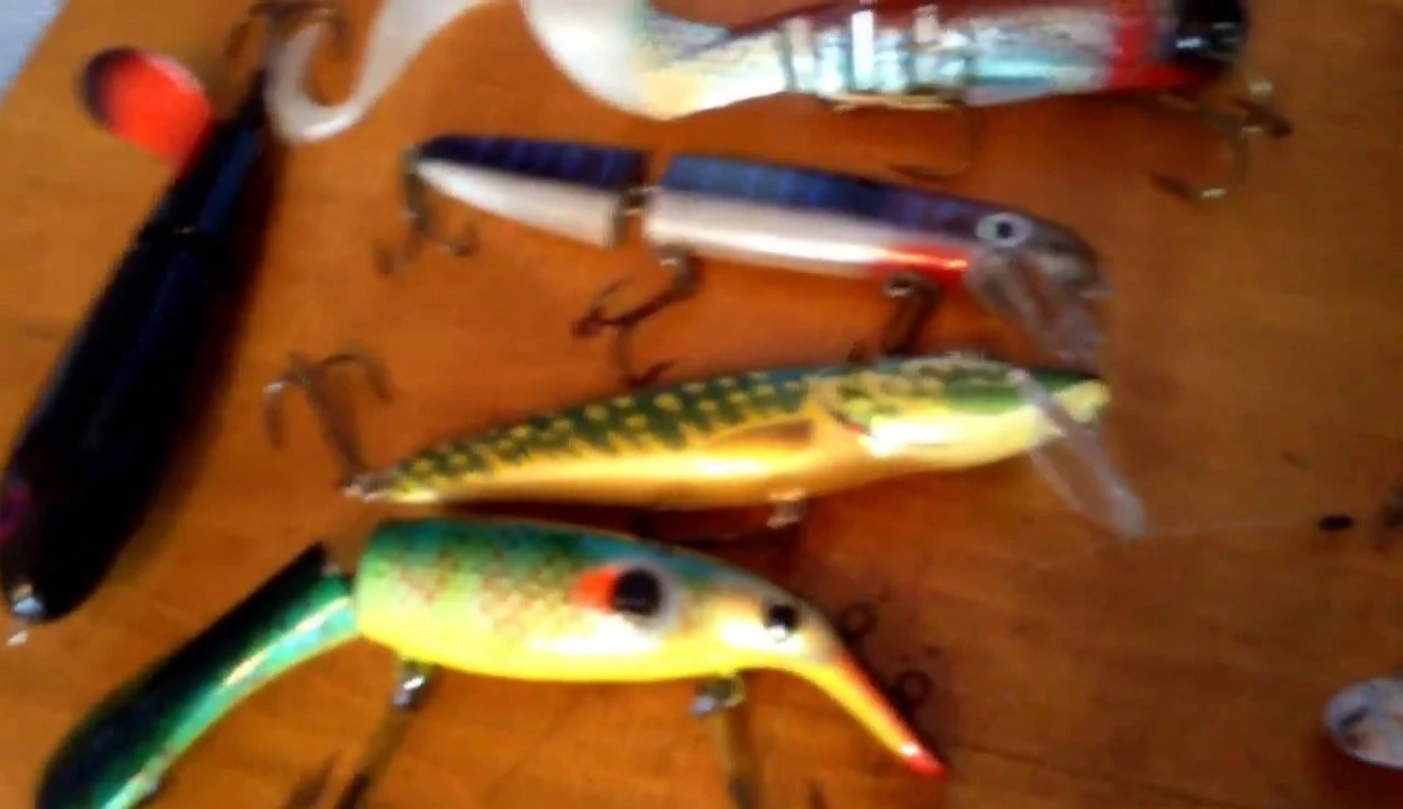 The darker lure with goldish tint on the scales