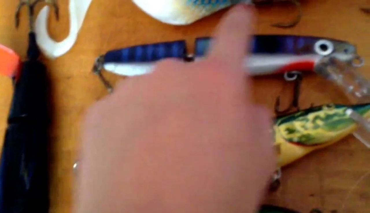 The double-jointed lure showing its articulation and treble hooks