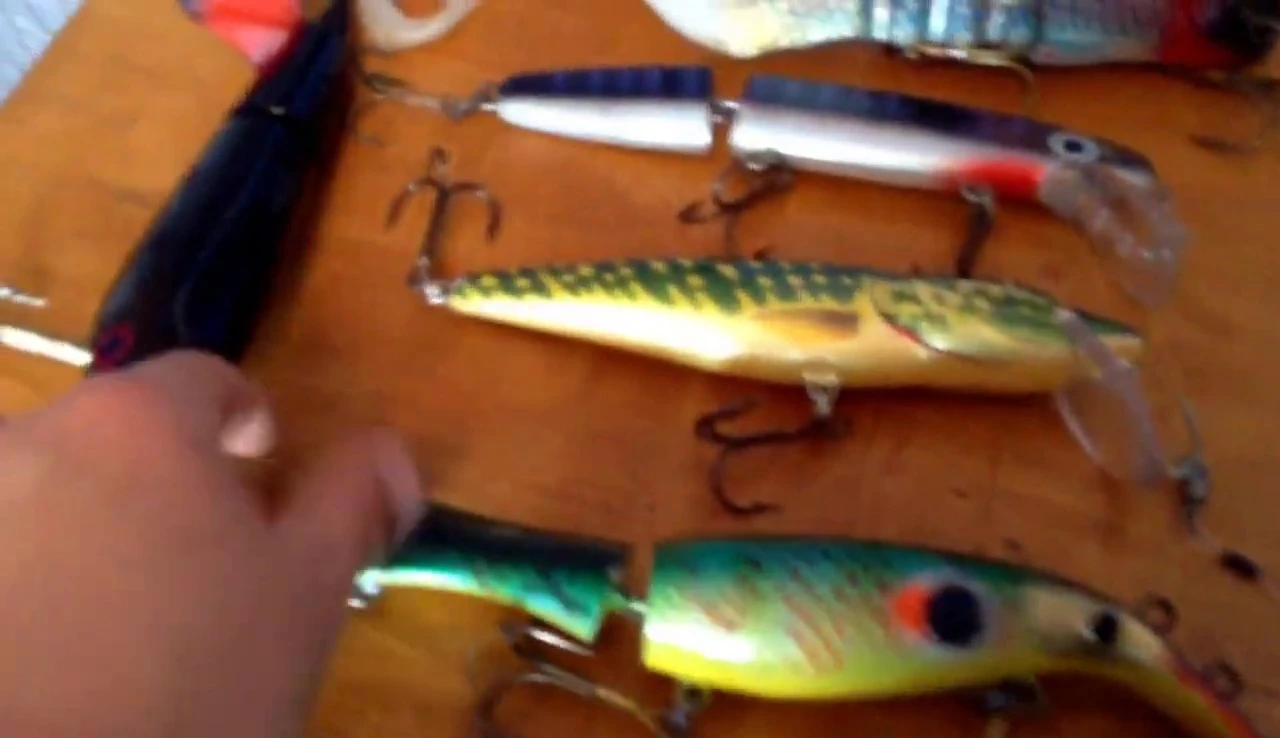 The paddle tail lure with its unique design