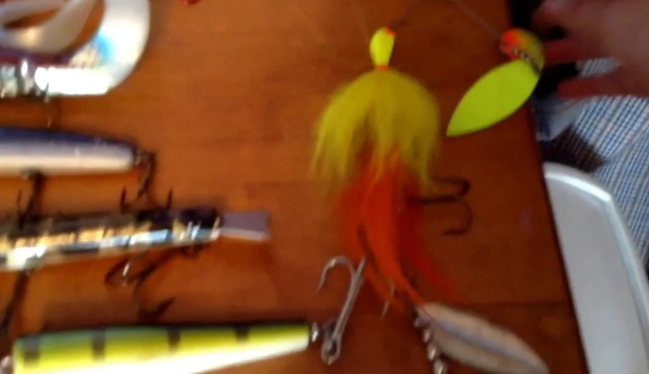 The large spinnerbait with extra feathers