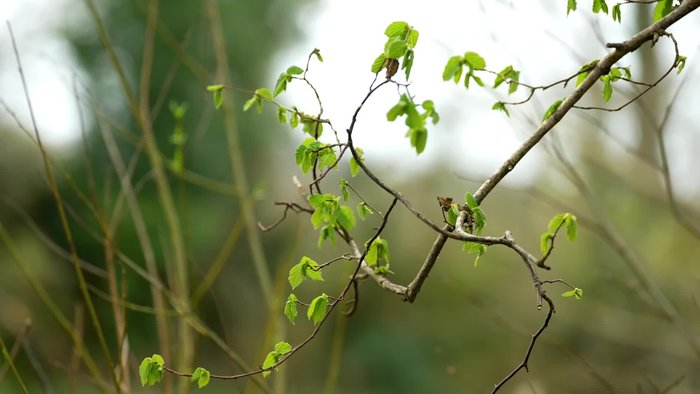 Note a landmark (e.g., tree top) in line with your cast to maintain consistency.