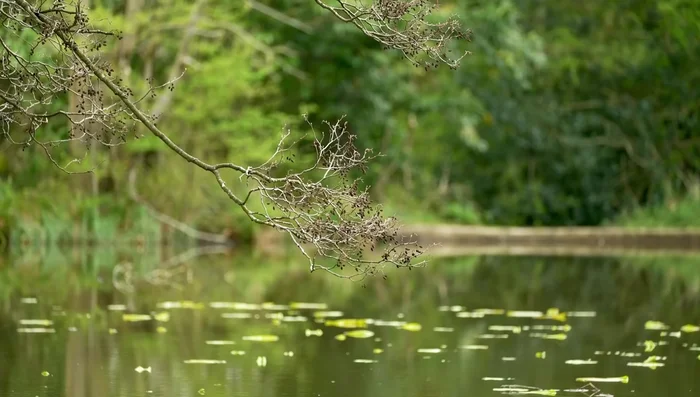 Repeat the wrap counting process for your fishing rod, using the same number of wraps as with the spod rod.