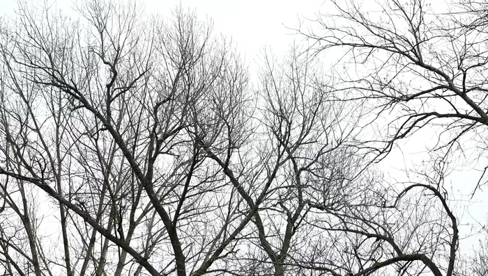 Note a landmark (e.g., tree top) in line with your cast to maintain consistency.