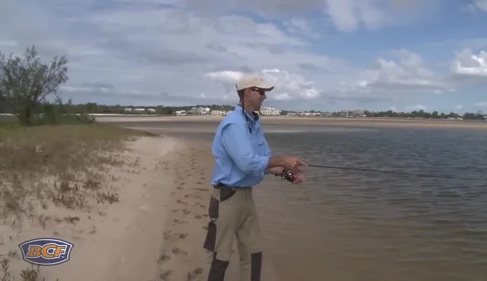 Cast to the zone, getting it as close to the fish as possible.