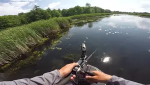 Post-Rain Bass Fishing: Dominate with the Topwater Frog Technique