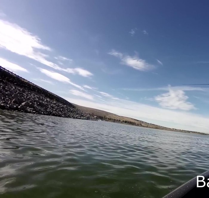 Allow the bait to deflect and bounce off objects.