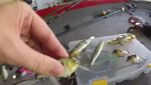 Jackall Lures Review: Top-Rated JDM Fishing Baits