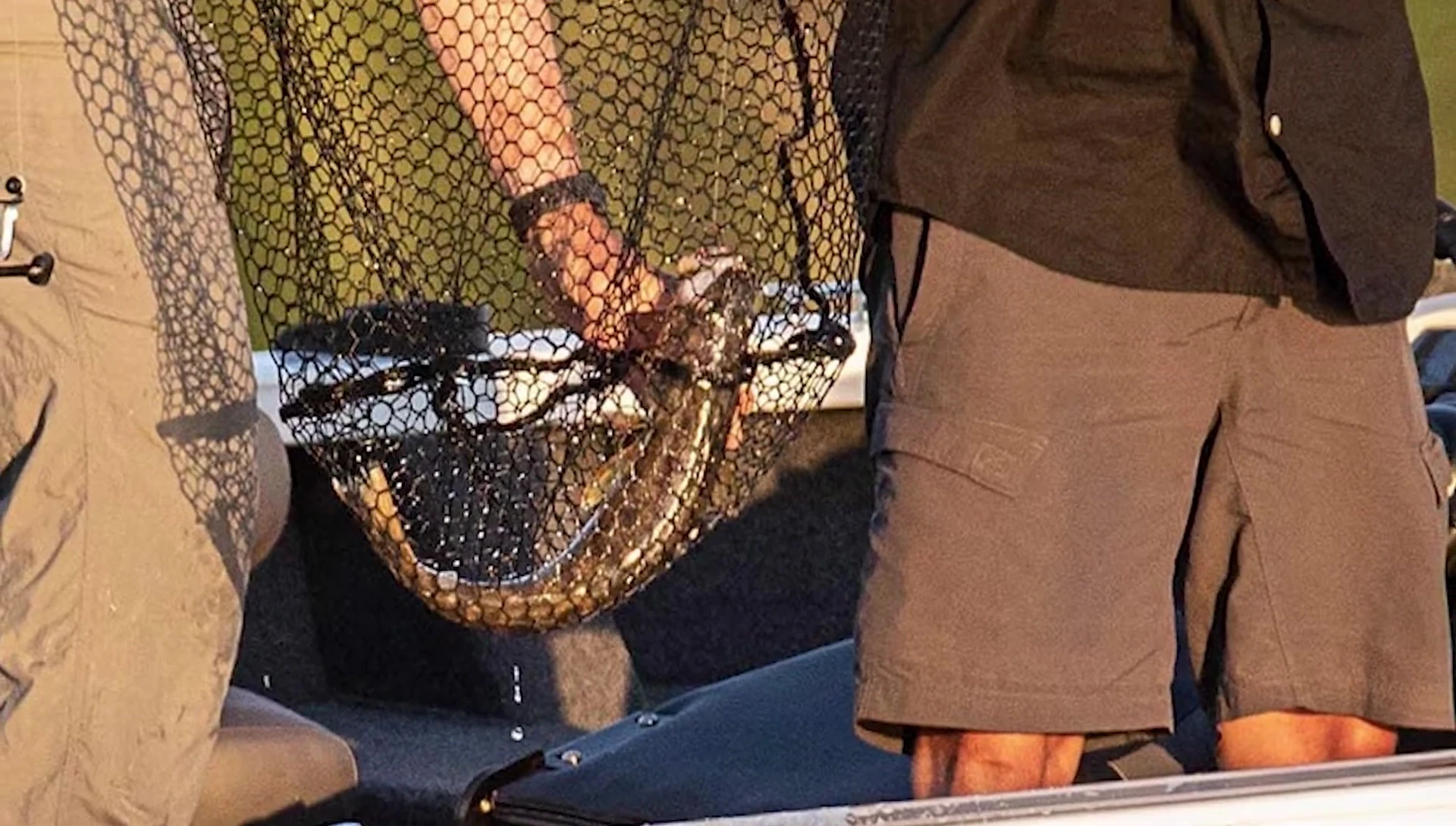 Close-up of the Ego net's handle and the deep net well.