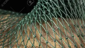 Fly Fishing Nets: A Comprehensive Guide to Choosing the Right Net
