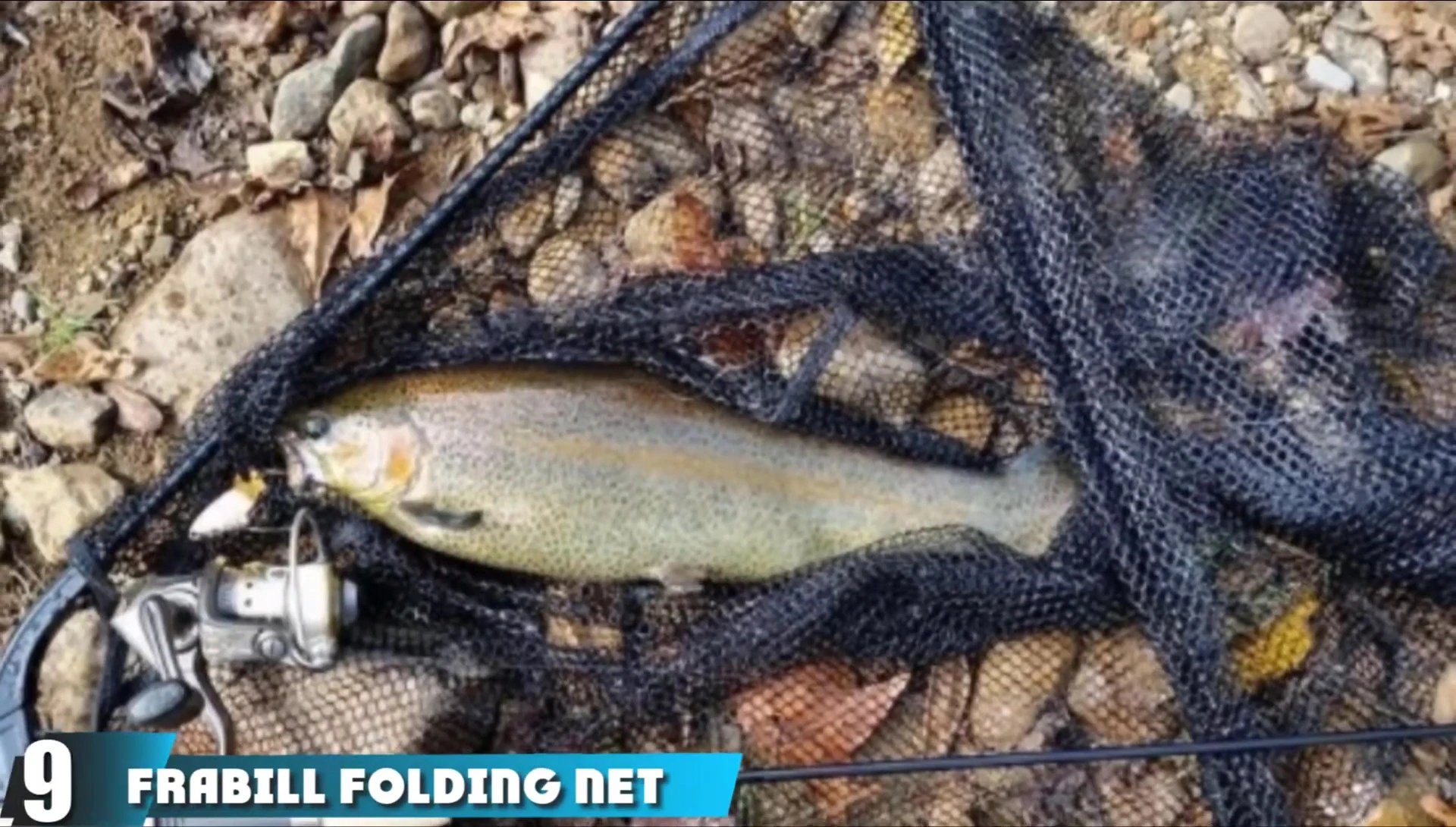 The Frabill folding net displayed.