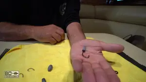 Ultimate Guide to Hook Selection for Marlin, Sea Bass, and More: Increase Your Catch!