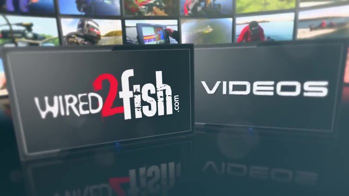 Sort hooks by type (flippin', swimbait, worm, extra wide gap) and size.