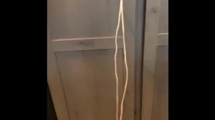 Cut multiple pieces of hemp cord, each double the length of your net, to fit across the main length.