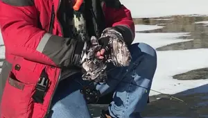 Fish Monkey Tundra Gloves Review: Warmth, Dexterity, and Durability on Ice
