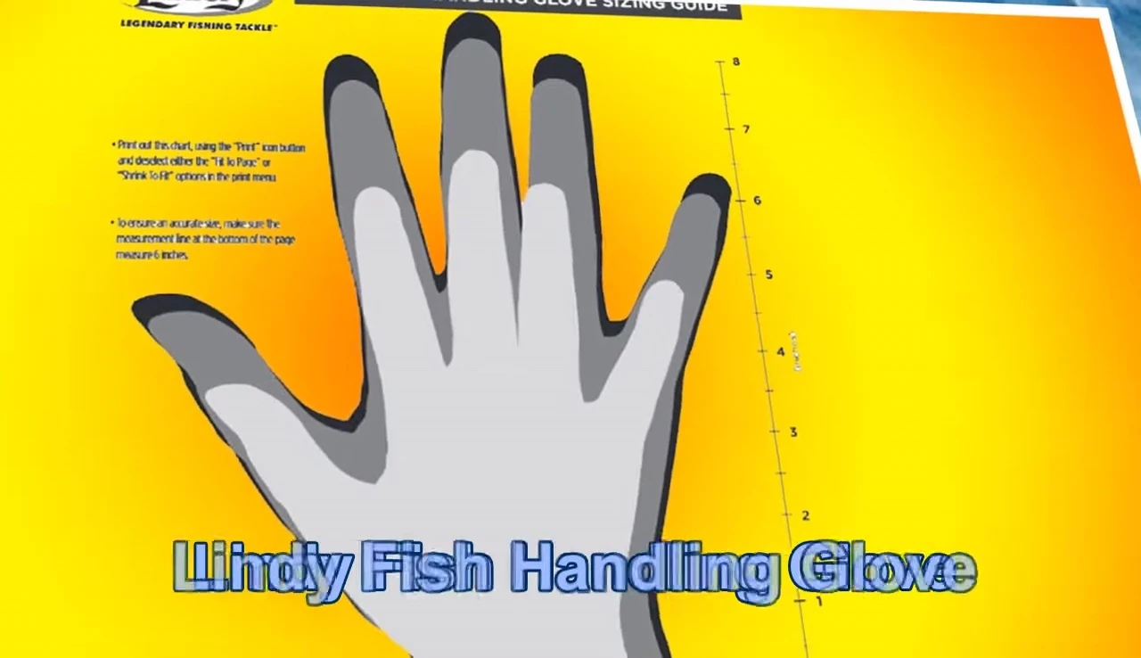 Highlighting the glove's material and texture