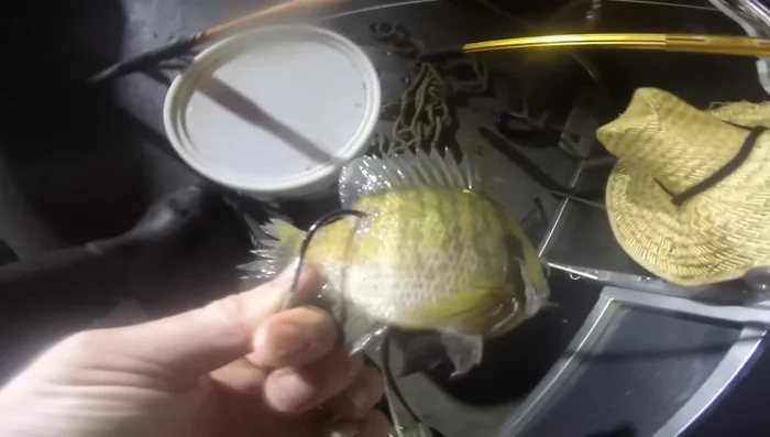 Secure your bait properly to prevent it from falling off but also avoid covering the hook point or barb.