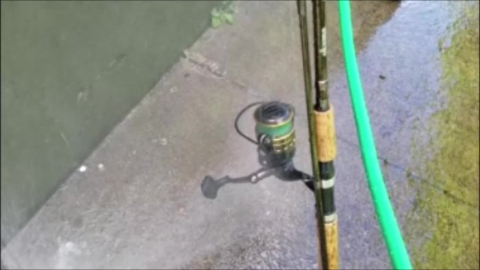 Rinse the reel after every saltwater fishing trip.