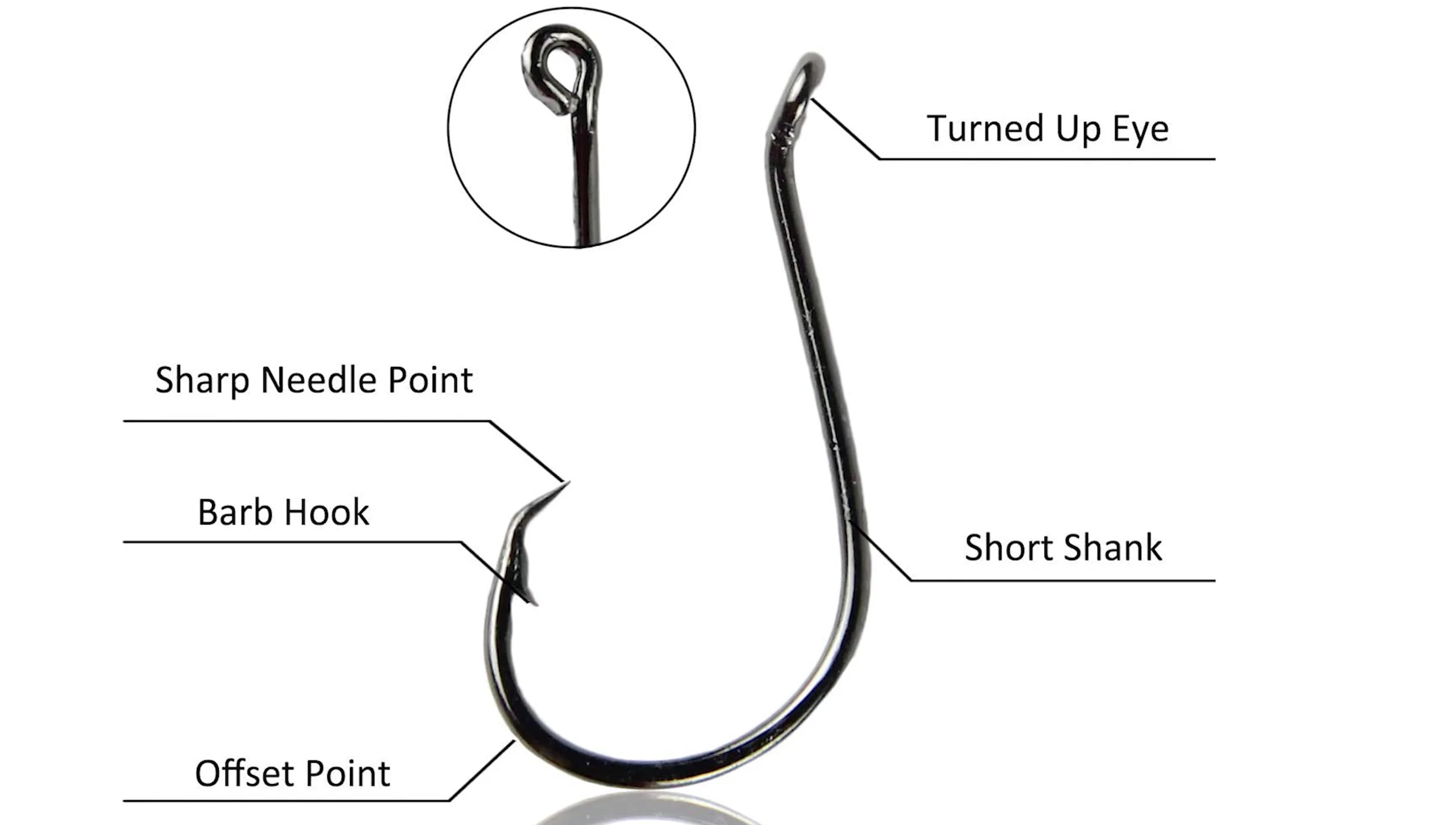 Image emphasizing the hook's offset point and barb features.